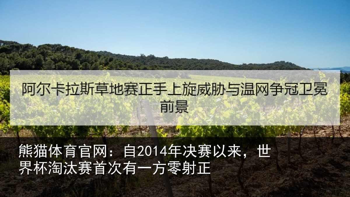 熊猫体育官网:自年相关情况汰赛相关情况