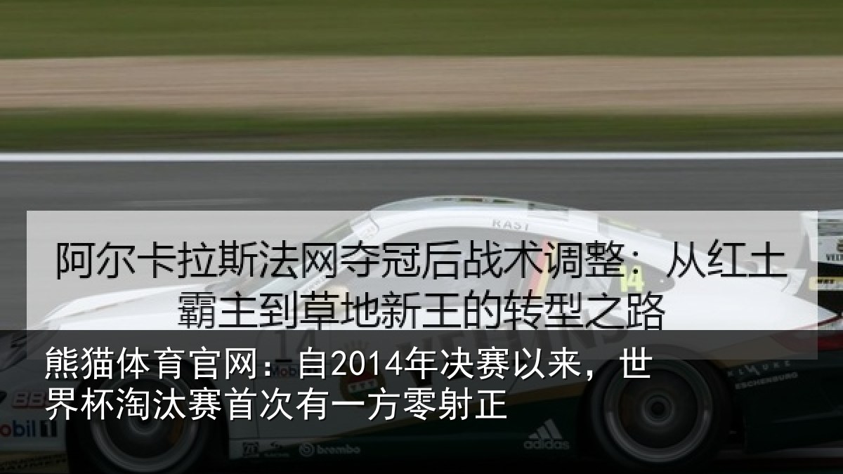 熊猫体育官网:自年相关情况汰赛相关情况