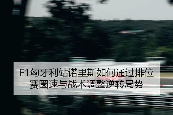 xiong-ya-li-zhan-nuo-li-si-ru-he-tong-guo-pai-wei-sai-quan-su-yu-zhan-shu-tiao-zheng-ni-zhuan-ju-shi-2-153.jpg