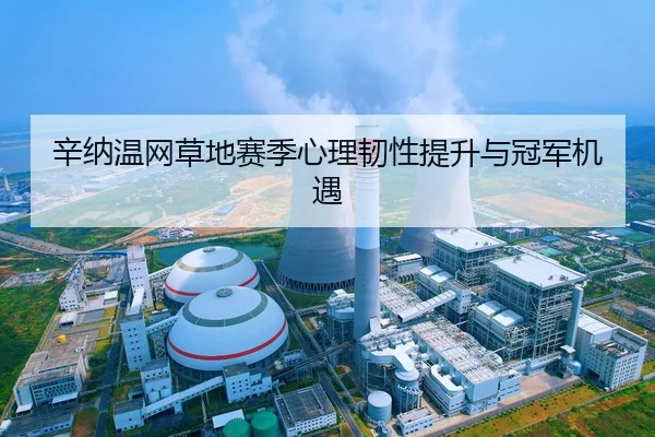 辛纳温网草地赛季心理韧性提升与冠军机遇