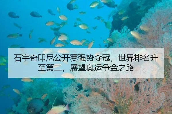 石宇奇印尼公开赛强势夺冠，世界排名升至第二，展望奥运争金之路