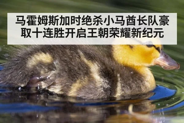 马霍姆斯加时绝杀小马酋长队豪取十连胜开启王朝荣耀新纪元