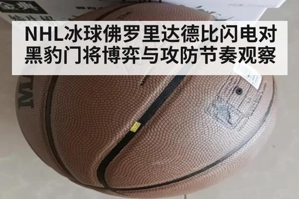NHL冰球佛罗里达德比闪电对黑豹门将博弈与攻防节奏观察